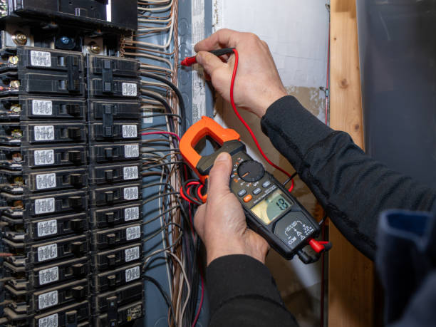 Best Electric Panel Repair  in Howland Center, OH